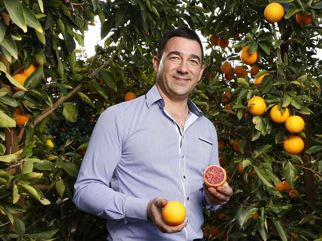 DAILY TELEGRAPH JULY 12, 2022.  EMBARGOED FOR BUSH SUMMIT AUGUST 26TH 2022. PLEASE CONTACT PIC EDITOR NICOLA AMOROS BEFORE PUBLISHING.Vito Mancini a blood orange farmer at his Griffith orchard, Redbelly Citrus. Picture: Jonathan Ng