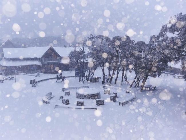 Mt Buller has copped quite a dusting.