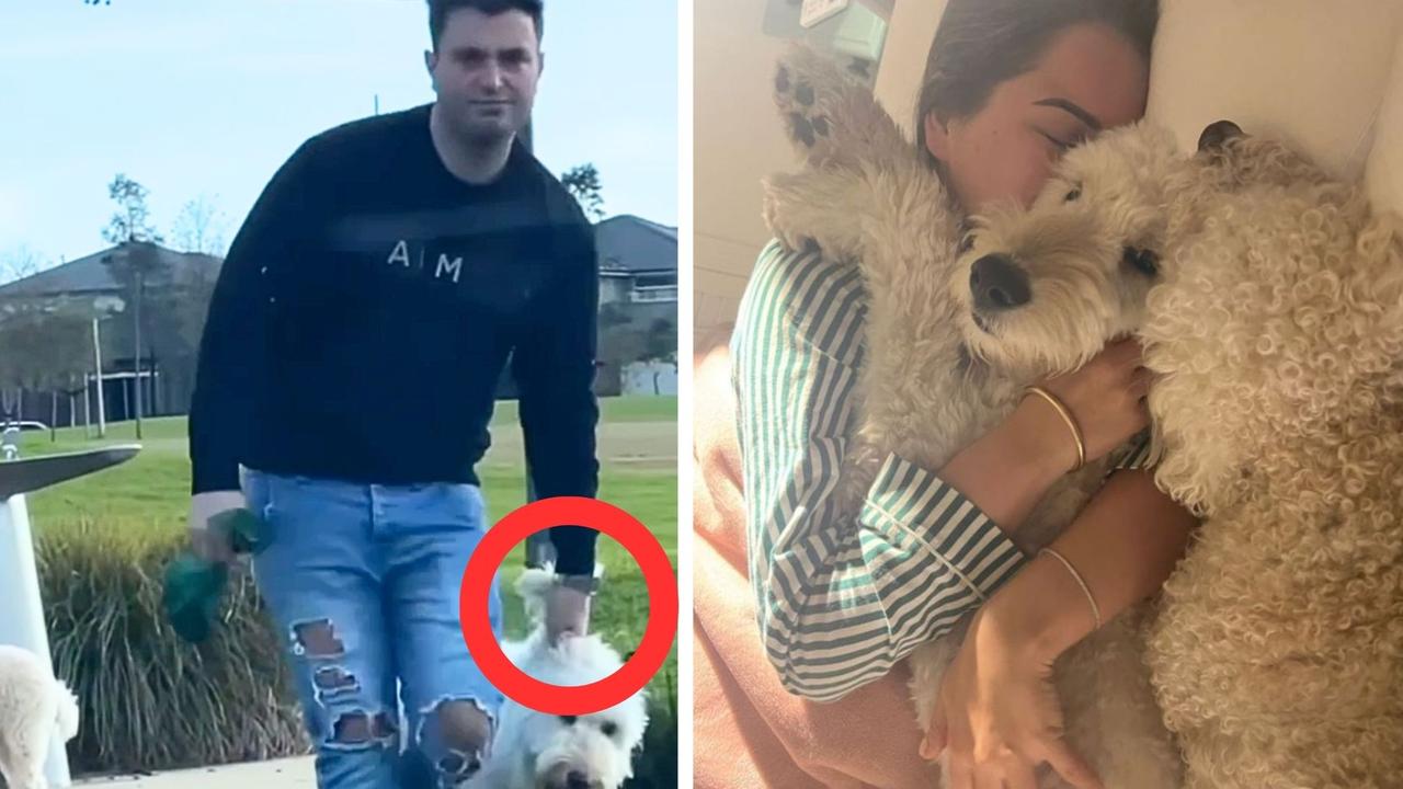 Mia Plecic and her partner Justin Borg have copped backlash after video emerged of their dog at the park. Picture: Instagram / @miaplecic