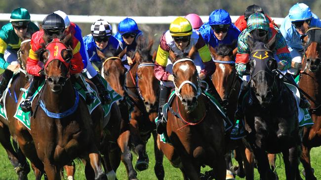 Loving home ridden by Tye Angland  (yellow cap, maroon with yellow armbands) wins race 1 during Scone  Races located in the Upper Hunter Region of NSW. The Bend . Pic Jenny Evans