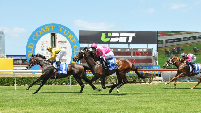 Jockey Michael Hellyer rode the Scott Morrisey-trained Infinite Lee to victory in the Act For Kids Maiden Handicap (900m) at the Gold Coast Turf Club in December. Picture credit: Jessica Hawkins/ Trackside Photography