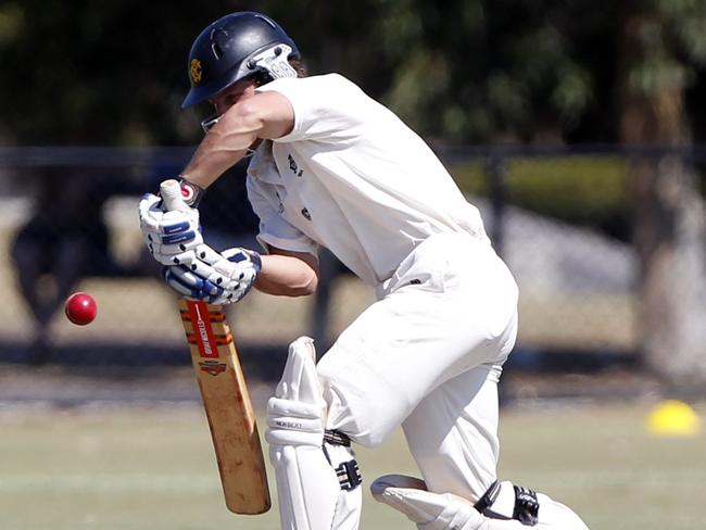 Daniel Sartori in an early appearance for Monash Tigers. 