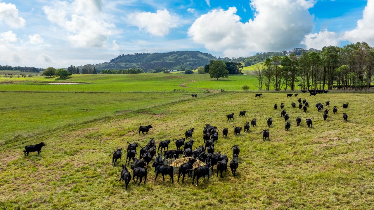 The expansive holdings is currently used to run cattle.