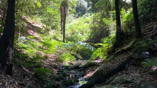 The Bunya Mountains scenic walk and lookout Picture: Grace Blissett