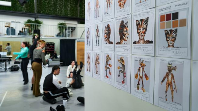 Character illustrations for Cats the Musical, in the rehearsal rooms in Waterloo. Picture: Neil Bennett