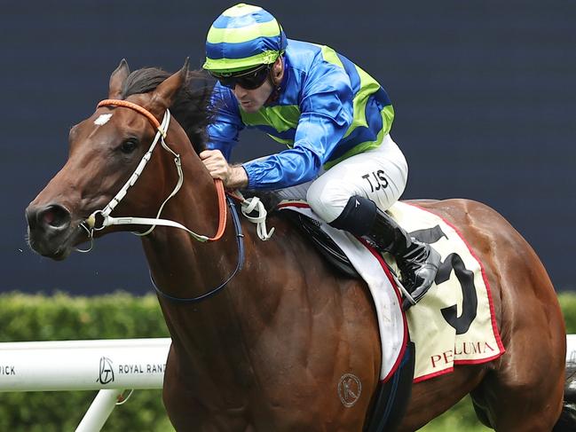 SYDNEY, AUSTRALIA - DECEMBER 28: Tyler Schiller riding Gallo Nero wins Race 1 Petaluma Handicap during Sydney Racing at Royal Randwick Racecourse on December 28, 2024 in Sydney, Australia. (Photo by Jeremy Ng/Getty Images)