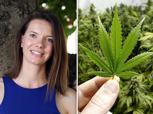 NSW MP on collision course with McKay over marijuana