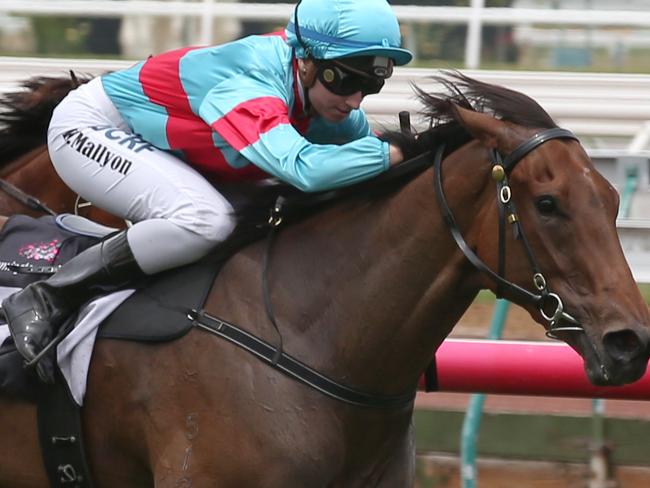 Magna Rossa ridden by Katelyn Mallyon wins race 4 at Flemington racecourse, new years day races. Friday, Jan 1. 2016. Picture: David Crosling