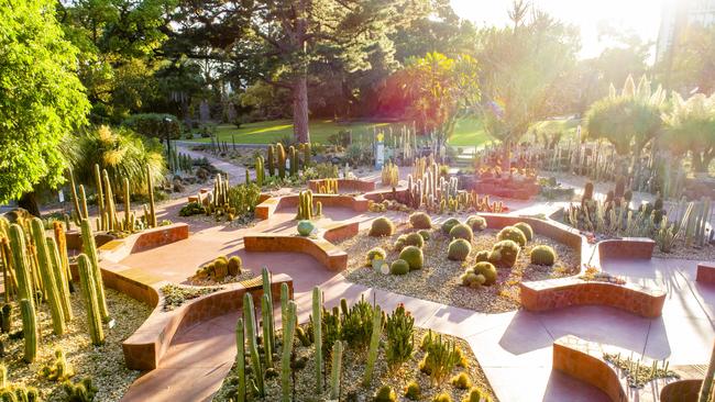 The new Arid Garden at the Royal Botanic Gardens in Melbourne.