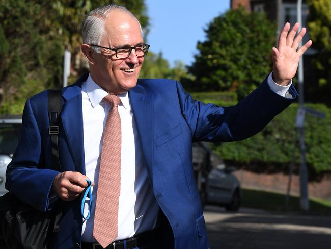 Turnbull has annoyed the Liberals since quitting politics and sparking a by-election at Wentworth. Picture: AAP/Dean Lewins