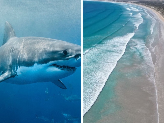 Emergency services are responding to reports of a shark attack in South Australia.Â The reported attack took place at the Westall Way Loop near Streaky Bay on the western side of the Eyre Peninsula at 10.20am on Tuesday, October 31, 2023. Picture: Supplied