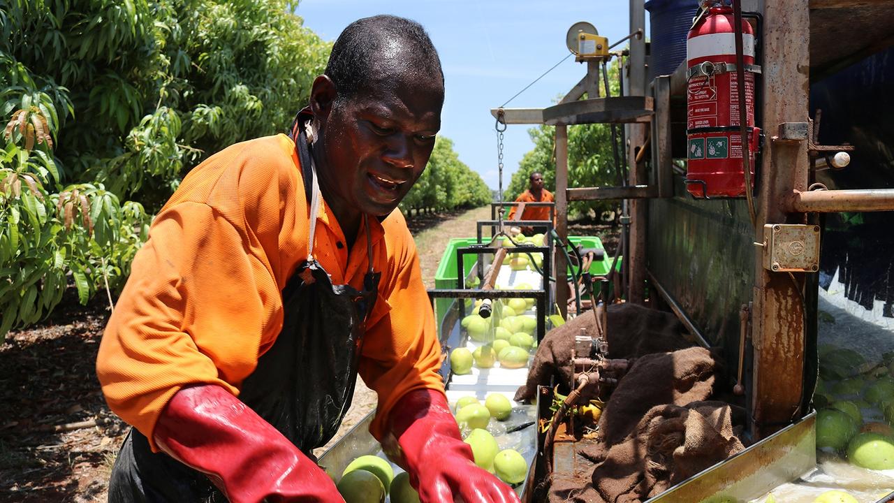 Sols Nurtano is one of the many hard workers to have benefited from the Pacific Island Workers Program.