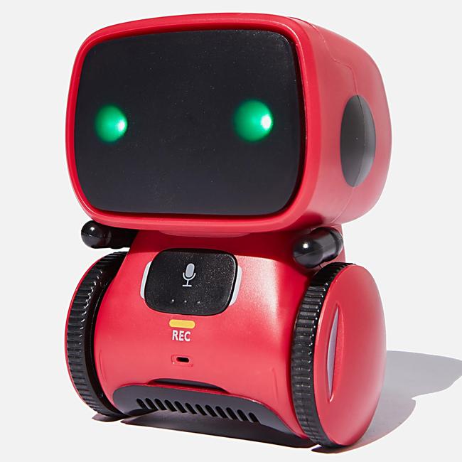 Voice control robot. Picture: Supplied