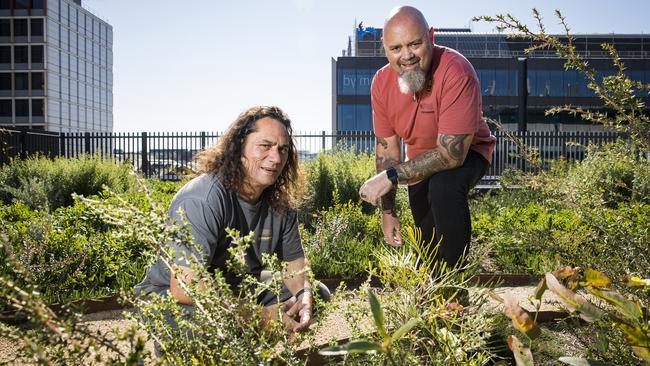 Clarence Slockee and Christian Hampson have created Australia's first native rooftop garden. Picture: Dylan Robinson