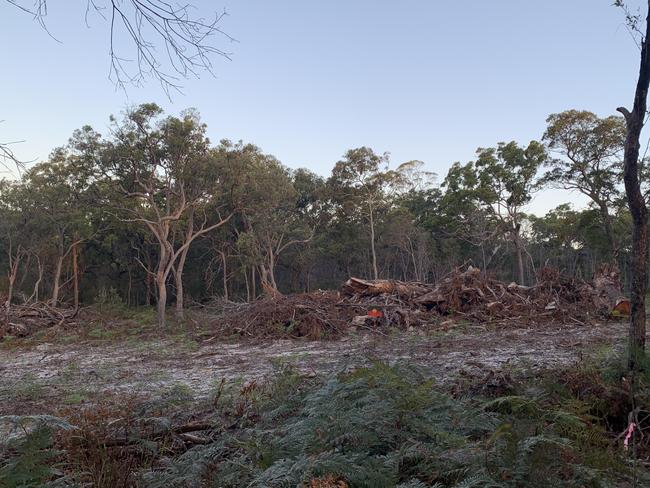 Cleared land at Point Lookout on North Stradbroke Island. Picture Supplied