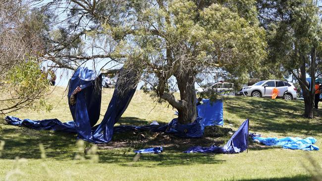 It is unknown how many children were on the jumping castle. Picture: Rob Burnett