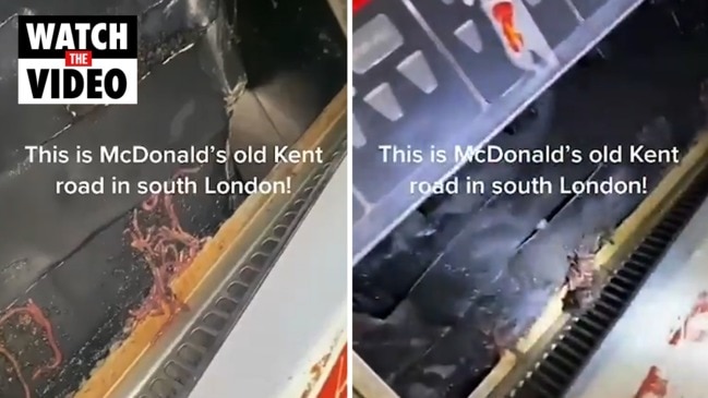 Worms found in London McDonalds drink machine