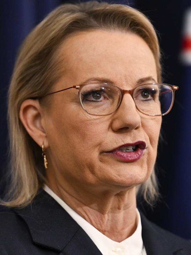Liberal Opposition Leader Sussan Ley. Picture: Martin Ollman