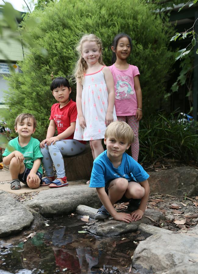 Kensington Gardens Preschool children Daniel, 4, Sophia, 5, Grace, 5, Caroline, 5, and Louis, 5, enjoying nature play at the preschool grounds. Picture: AAP/Emma Brasier