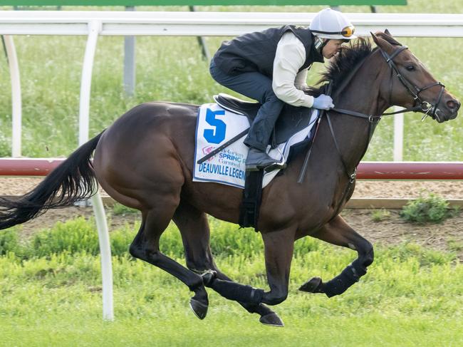 Kerrin McEvoy onboard Deauville Legend during trackwork at Werribee Racecourse. Picture: Jay Town/Racing Photos via Getty Images