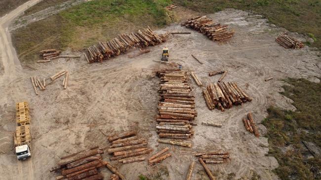 An illegal logging operation in Humaita, Brazil, in 2022. Picture: Getty Images