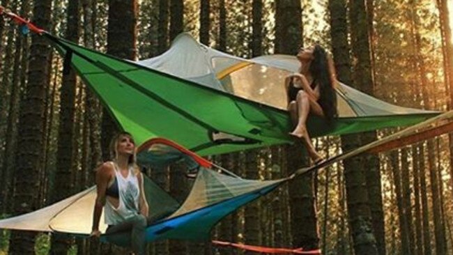 O'Reilly's Rainforest Retreat plans on using Tentsile hanging tents in its expansion of the popular Green Mountains Campground. Photo: Tentsile Instagram