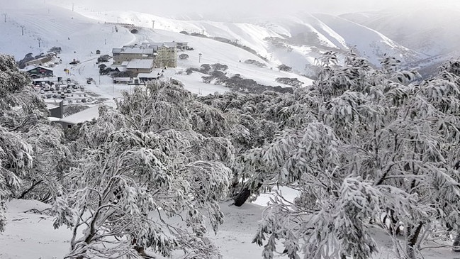 Mt Hotham's winter wonderland this morning. Picture: Twitter/@hotham