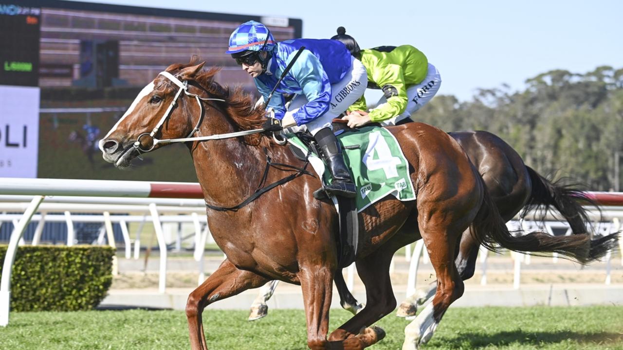 Coco Dreaming is looking to make it two from two at Hawkesbury on Thursday. Picture: Bradley Photos