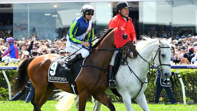 Jockey Dwayne Dunn eased up when he realised something was wrong with Rostropovich.