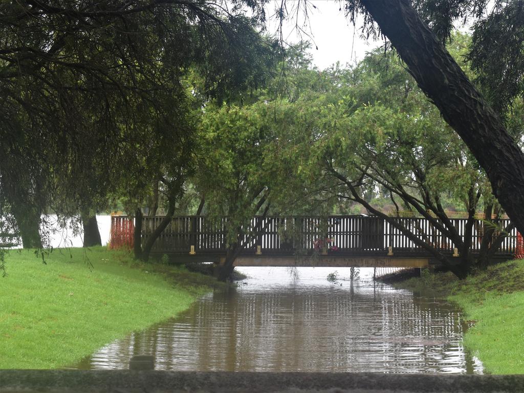 The Clarence River exceeded the 2.1m minor flood level at Grafton in the early afternoon on Wednesday, 16th December, 2020. Photo Bill North / The Daily Examiner