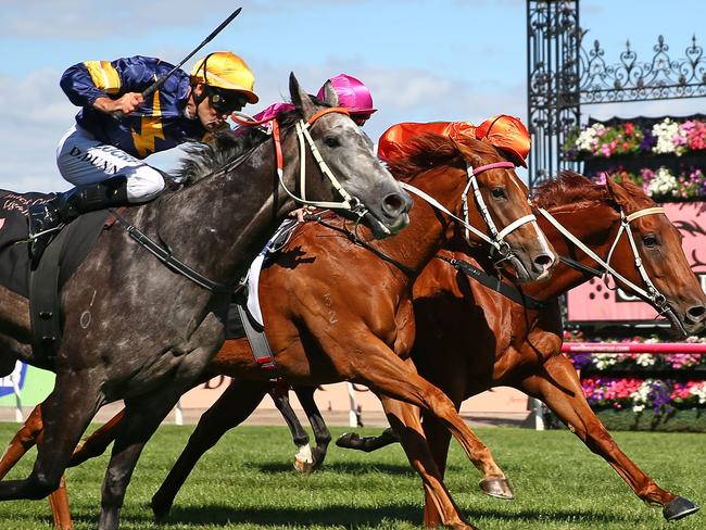 MELBOURNE, AUSTRALIA - FEBRUARY 20: Chautauqua ridden by Dwayne Dunn wins race 7 the Black Caviar Lightning on Black Caviar Lightning Day at Flemington Racecourse on February 20, 2016 in Melbourne, Australia. (Photo by Scott Barbour/Getty Images for VRC)