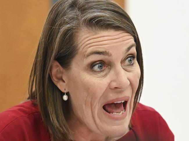 CANBERRA, AUSTRALIA, NewsWire Photos. FEBRUARY 16, 2024: Senator Perin Davey during Environment and Communications Legislation Committee Senate estimates at Parliament House in Canberra. Picture: NCA NewsWire / Martin Ollman