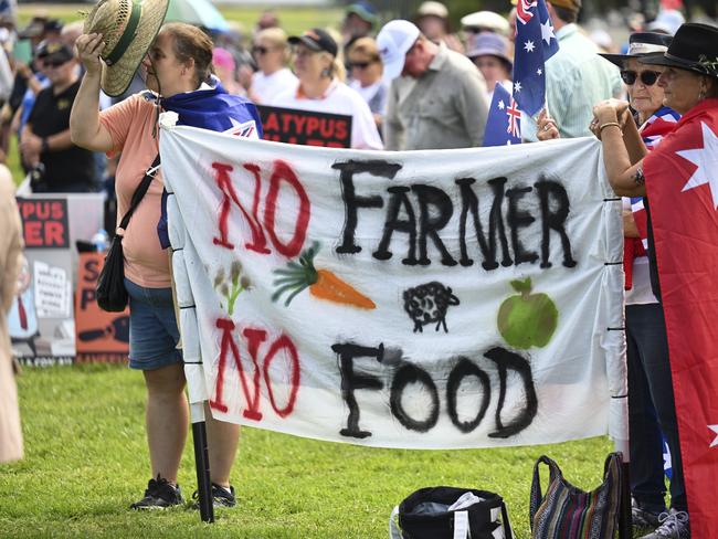 CANBERRA, AUSTRALIA, NewsWire Photos. FEBRUARY 6, 2024: The National Rally Against Reckless Renewables at Parliament House in Canberra. Picture: NCA NewsWire / Martin Ollman