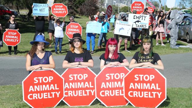 Protesters in 2019 gathered outside Sea World to protest against dolphins being held in captivity. Picture: AAP Image/Richard Gosling.