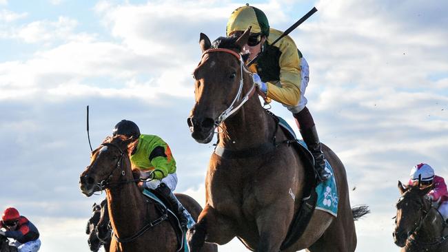 Marimenko can build on an encouraging first-up run at Geelong on Wednesday. Picture: Racing Photos via Getty Images