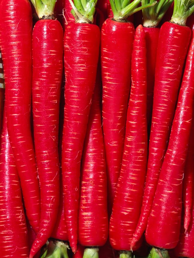 ‘Kyoto Red’ carrots.