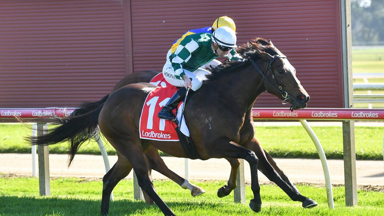 Sun Setting ridden by Jake Noonan wins the Harvey Norman Moe Maiden Plate at Moe Racecourse on May 13, 2025 in Moe, Australia. (Photo by Pat Scala/Racing Photos via Getty Images)