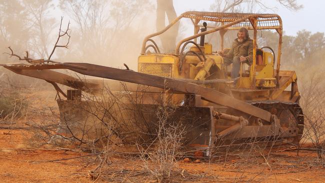 Drought ravaged north west NSW is battling through one of the worst dry spells in history. This aerial image shows wandering sheep looking for food at James Foster's property 90km west of Walgett. Picture: Sam Ruttyn.