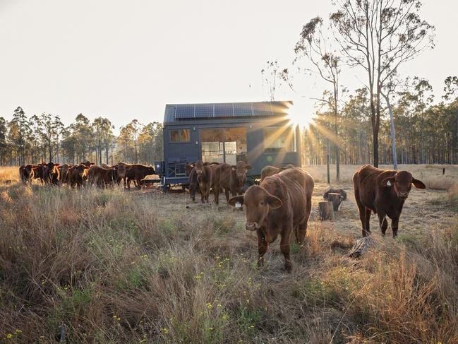 EMBARGO FOR WISH MAGAZINE 07 OCTOBER 2022. FEE MAY APPLY.   Unyoked has a network of off grid cabins hidden in the wild but easily accessible from your door. Unyoked Ramana, QLD. Photo: Mary T McGilvray/Supplied