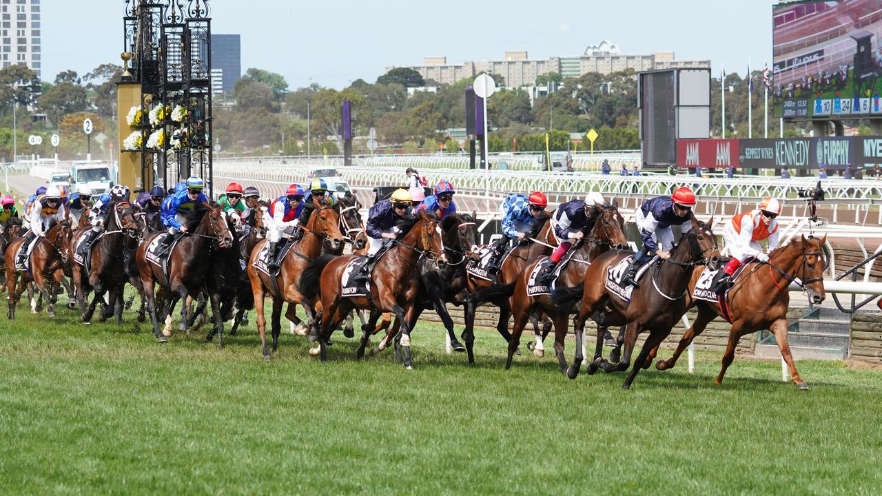 Set up your office sweep for the Melbourne Cup.