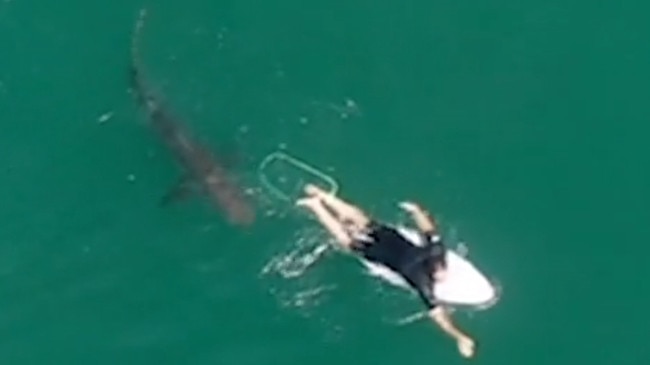 A NSW Surf Life Saving drone helped save pro surfer Matt Wilkinson from a potential shark attack in a terrifying Mick Fanning-like encounter at Ballina on October 7, 2020