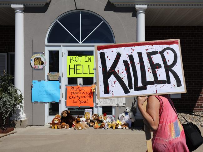 Held to account ... Protesters call attention to the alleged poaching of Cecil the lion, in the parking lot of Dr. Walter Palmer's River Bluff Dental Clinic Picture: Adam Bettcher/Getty Images/AFP