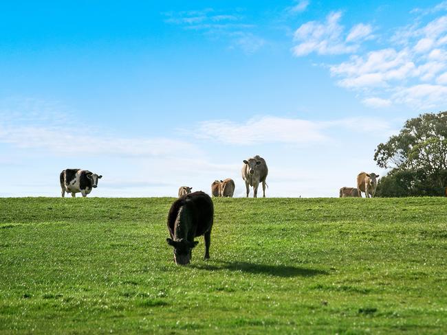 Dairy giant Fonterra pulls pin on Russia