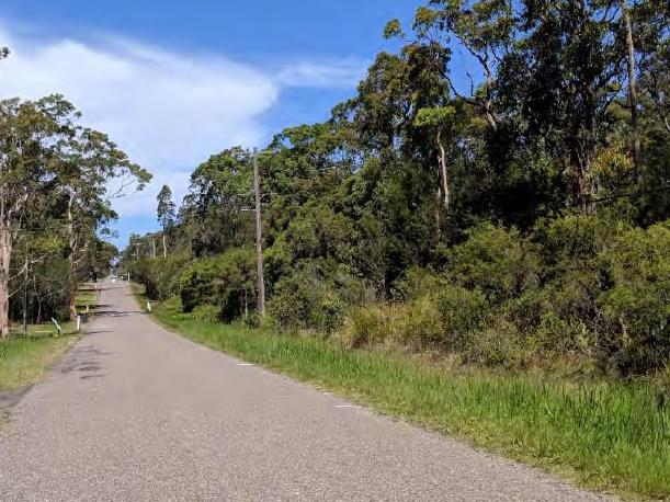 Site of the proposed new subdivision in Hakone Road, Woongarrah.