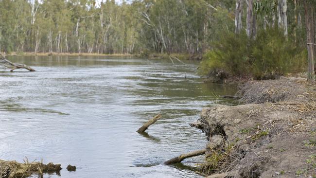 The 2022-23 floods cut the Barmah-Millewa chokes capacity to a critical low, as the river eats away at 24 high risk breakout points that have not been repaired.