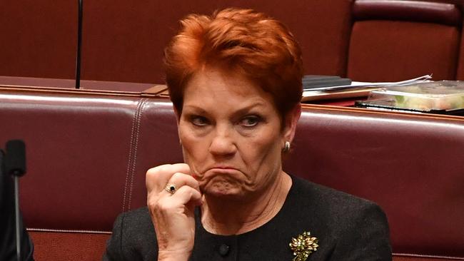 One Nation leader senator Pauline Hanson has been widely condemned over her comments about children with autism in mainstream schools.