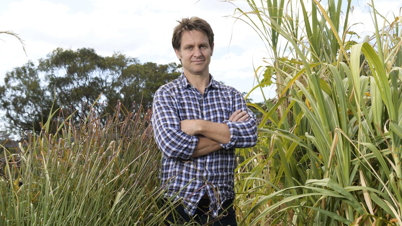 TV host and eco-activist Craig Reucassel believes Noosa’s coastal properties are under threat. (AAP IMAGE/Simon Bullard)