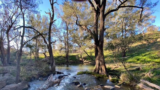 You’ll find there's much to explore in the backyard, like Wingecarribee River.