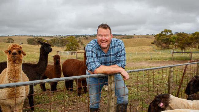 Andrew “Cosi” Costello with some of his sheep and alpacas on his farm at Harrogate. Picture Matt Turner