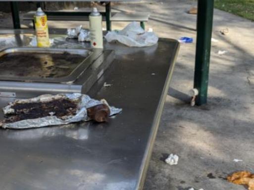 Shock after inner-city public BBQ left a disgrace. SNAYLAM